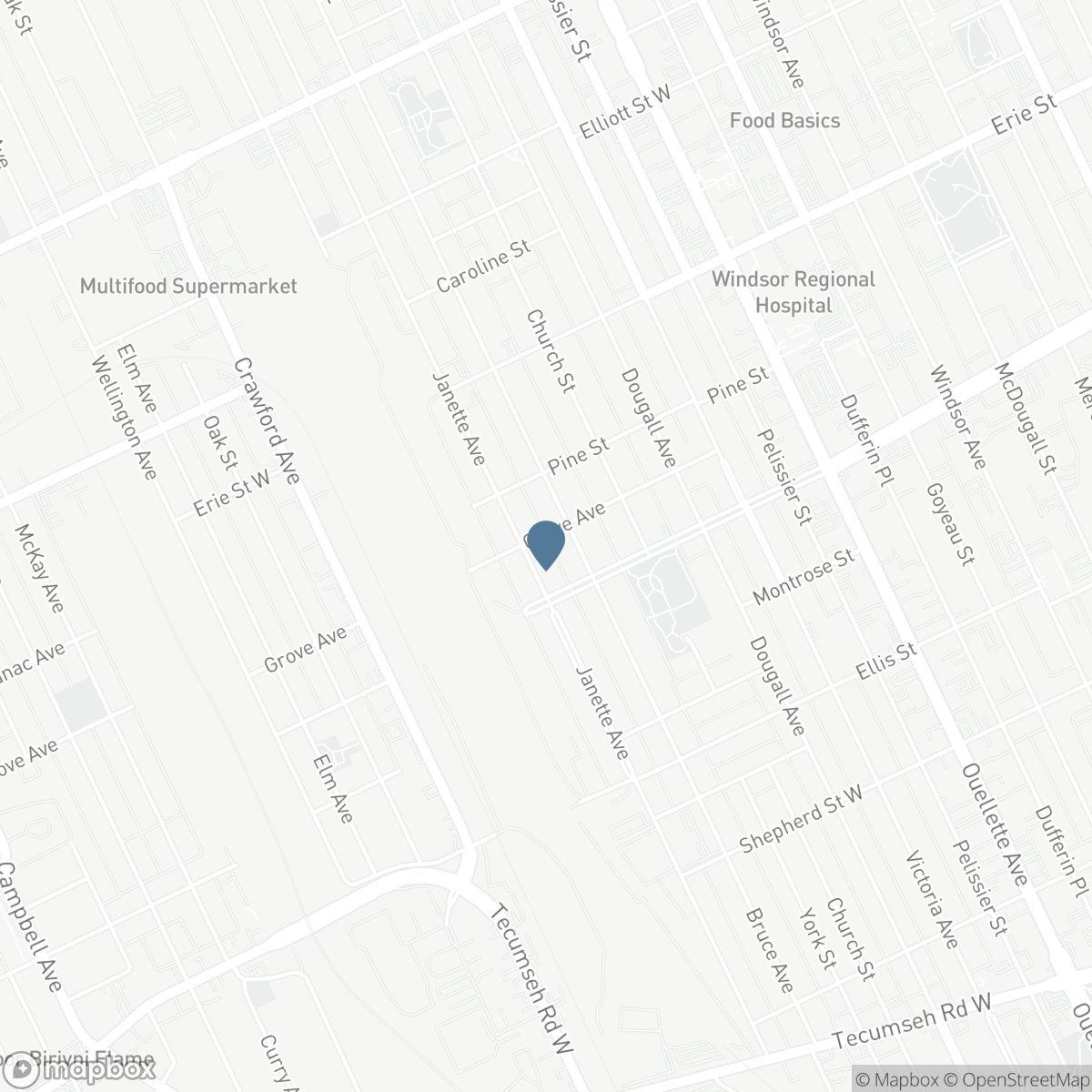 559 GROVE AVENUE, Windsor, Ontario N9A 6G5